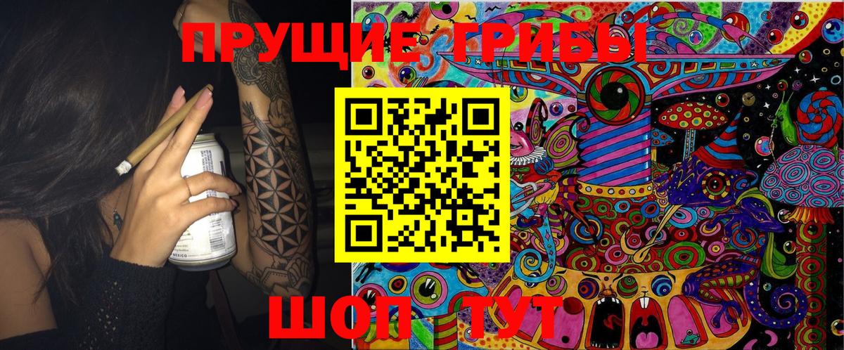 Псилоцибиновые грибы MAGIC MUSHROOMS  Вход с VPN  Галлюциногенные грибы Psilocybe  закладки  Чапаевск 